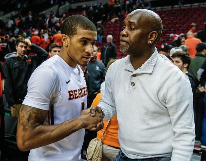 布朗尼展现 布朗尼展现