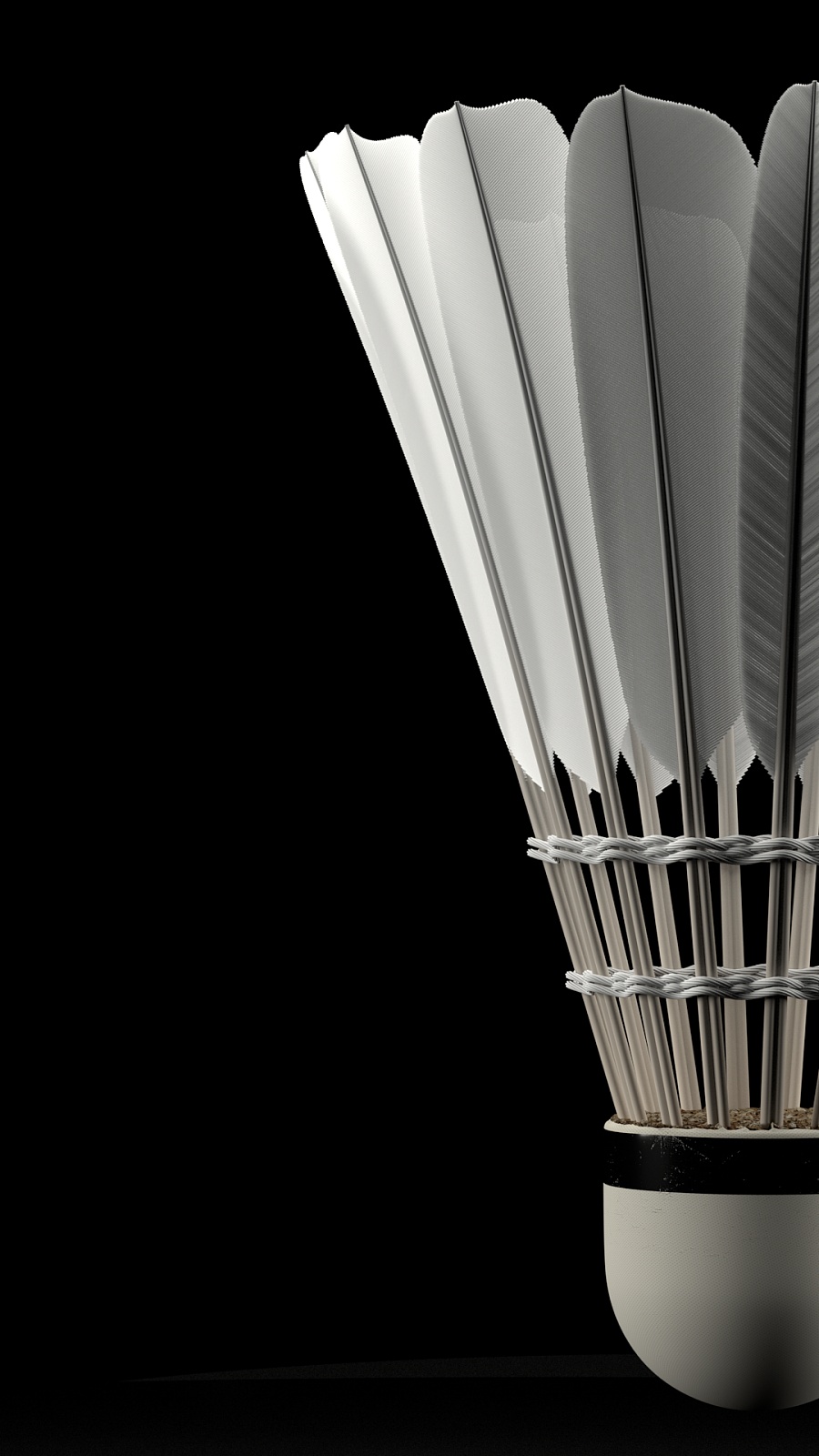 板滑雪障碍 板滑雪障碍